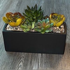 World Market Faux Succulent Arrangement In Ceramic Box-Like New